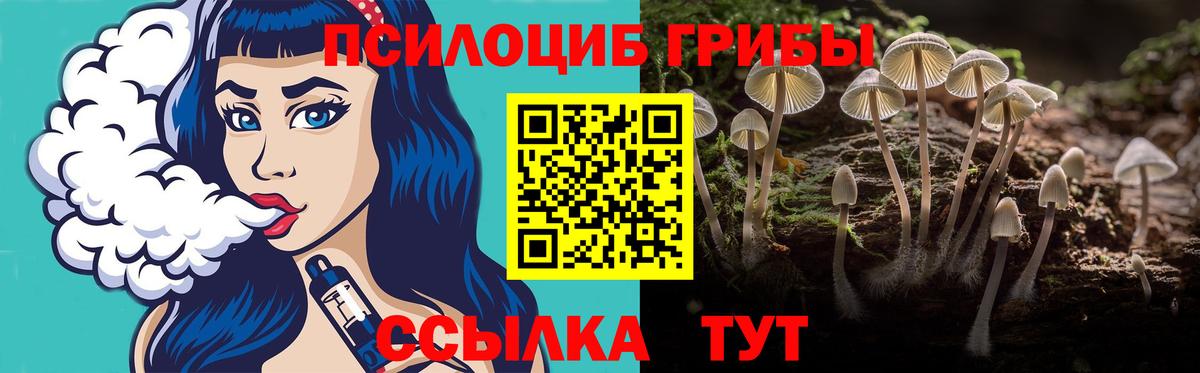 Псилоцибиновые грибы Cubensis Междуреченск